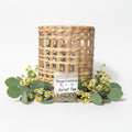 Eucalyptus Breathtaking Blend (Single)