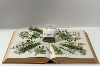 Rosemary Herbal Daily Blend (Single)