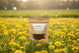 Dandelion Root