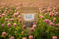 Red Clover Blossoms
