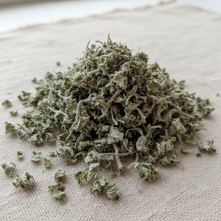 Loose Dried Mugwort